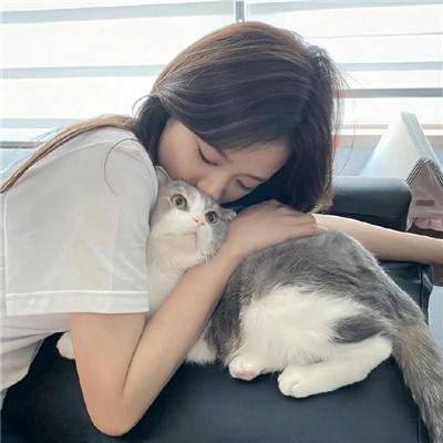 定军山情歌 在线观看