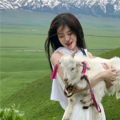 旋律牧场 在线观看